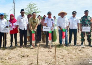 Penanaman Padi Gogo Kembali Digelar di Kecamatan Paguat