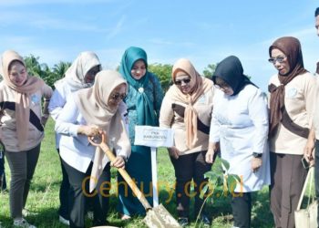 PKK Pohuwato Gaungkan Gerakan Perempuan Tanam Pohon di Randangan