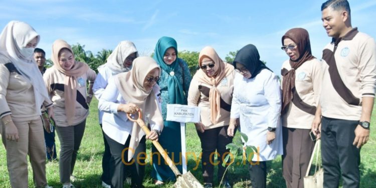 PKK Pohuwato Gaungkan Gerakan Perempuan Tanam Pohon di Randangan