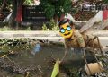 Kasus Malaria Meningkat, Kinerja Penanganan Dinkes Pohuwato Dipertanyakan