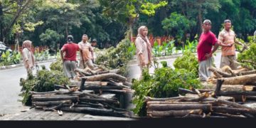 Jaga Estetika Pusat Pemerintahan, DLH Pohuwato Bersihkan Blok Plan Perkantoran Marisa